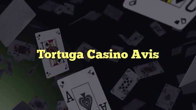 Présentation de casino tortuga